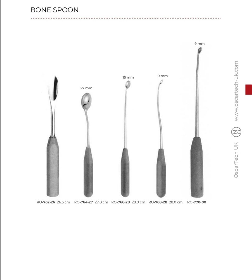 Bone Spoon