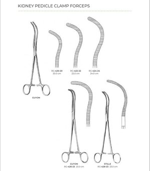 Kidney Pedicle Clamp Forceps