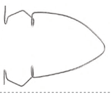 Wire Speculum, Karz-Barraquer, blade length, 18mm