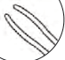 Spaleck Soft IOL Inserting Forceps, For Foldable Acrylic and Thin Silicone Lenses, Extra delicate