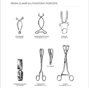 Penis Clamp & Lithotomy Forceps