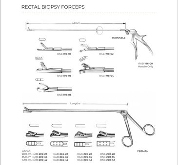 Rectal Biopsy Forceps